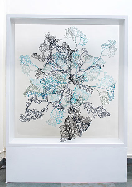 Blue Coral, 2017