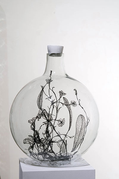 Glass vitrine - 1, 2017