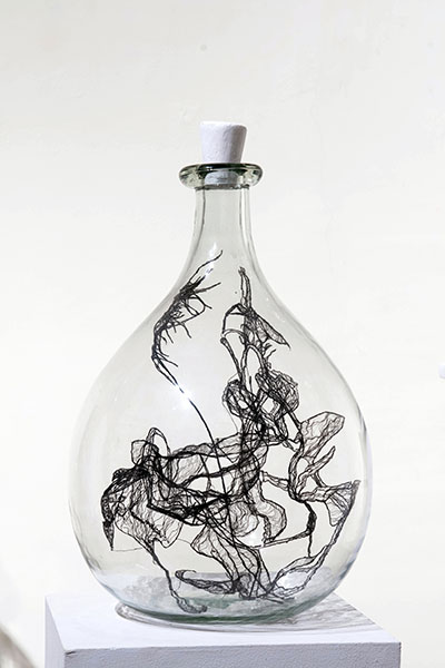 Vitrine 6: Orchid, 2017