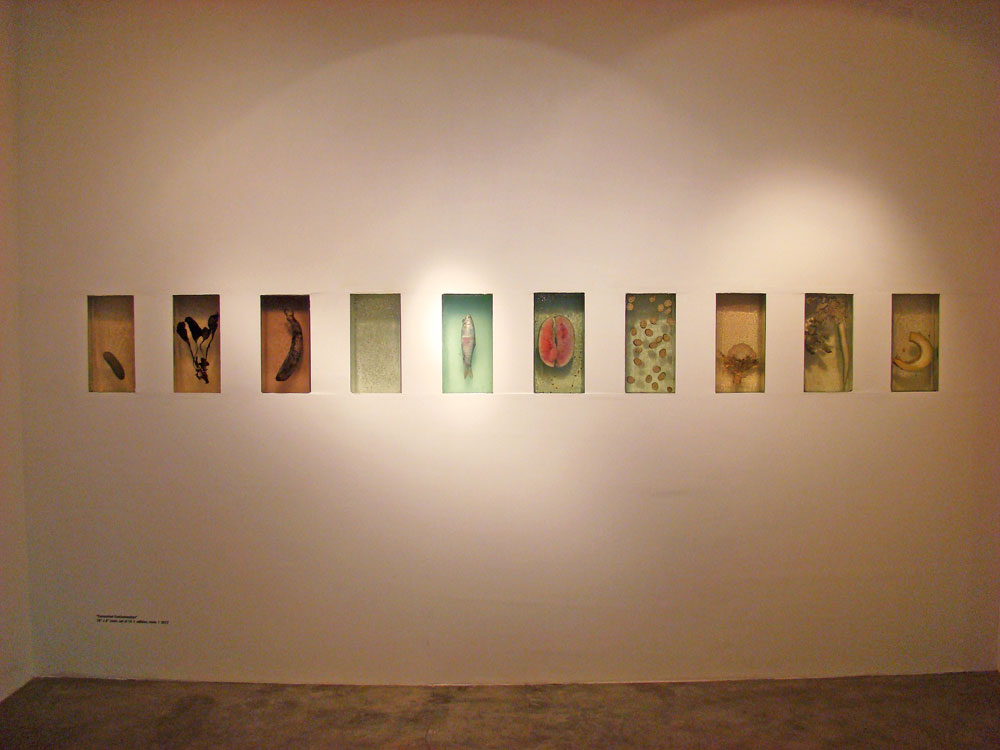 Consumed Contamination, 2012