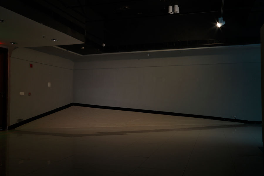 Lets Proceed In Parts Exhibition Hall (2), 2017
