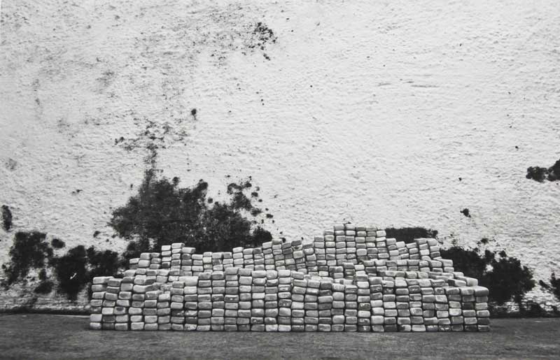 <Still Life Of A Landscape Ii, 2010