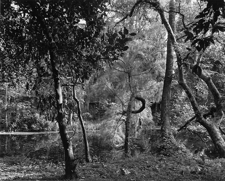<Belghoria Police Compound, Calcutta, 2009