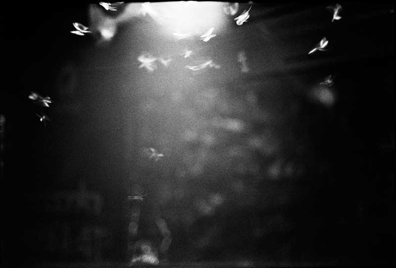 <Untitled from the series 