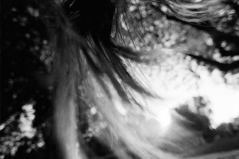 <Untitled from the series 