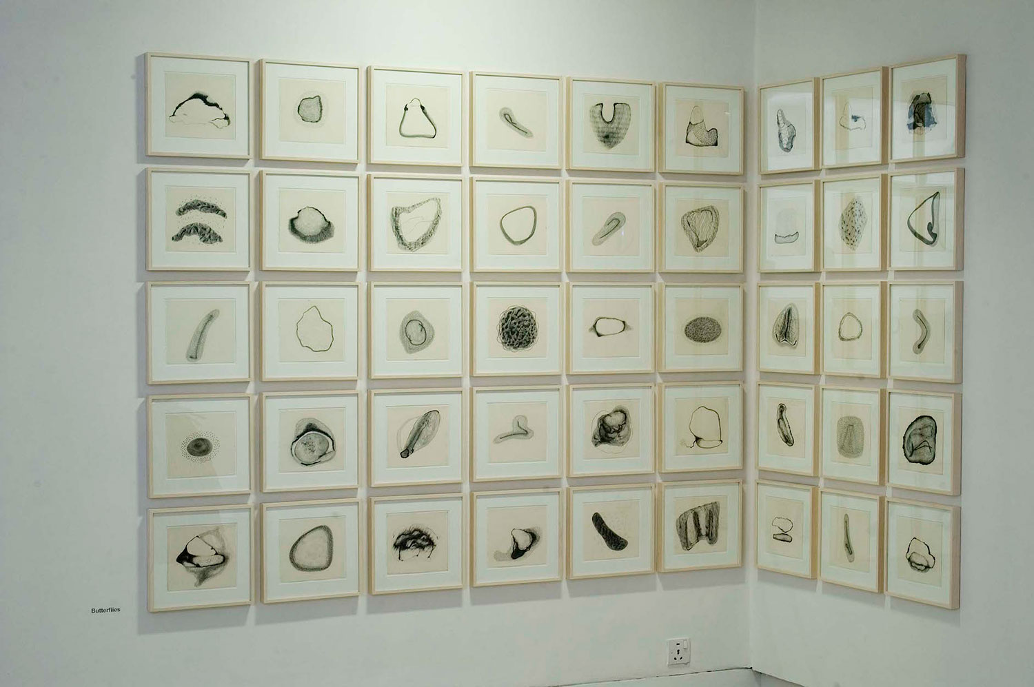 <BUTTERFLIES, 2009