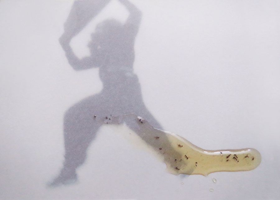 Mustafa Zaman Honey Series, Photographs, 2016