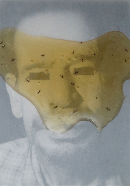 Mustafa Zaman Honey Series, Photographs, 2016