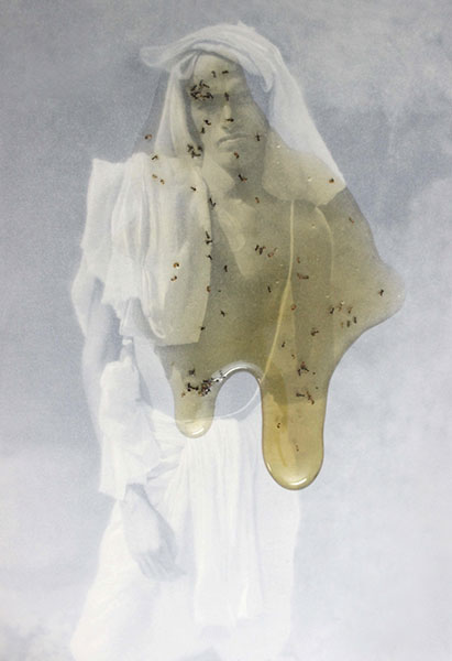 Mustafa Zaman Honey Series, Photographs, 2016