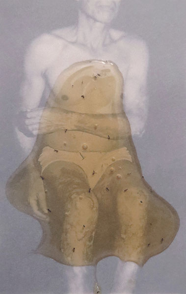 Mustafa Zaman Honey Series, Photographs, 2016