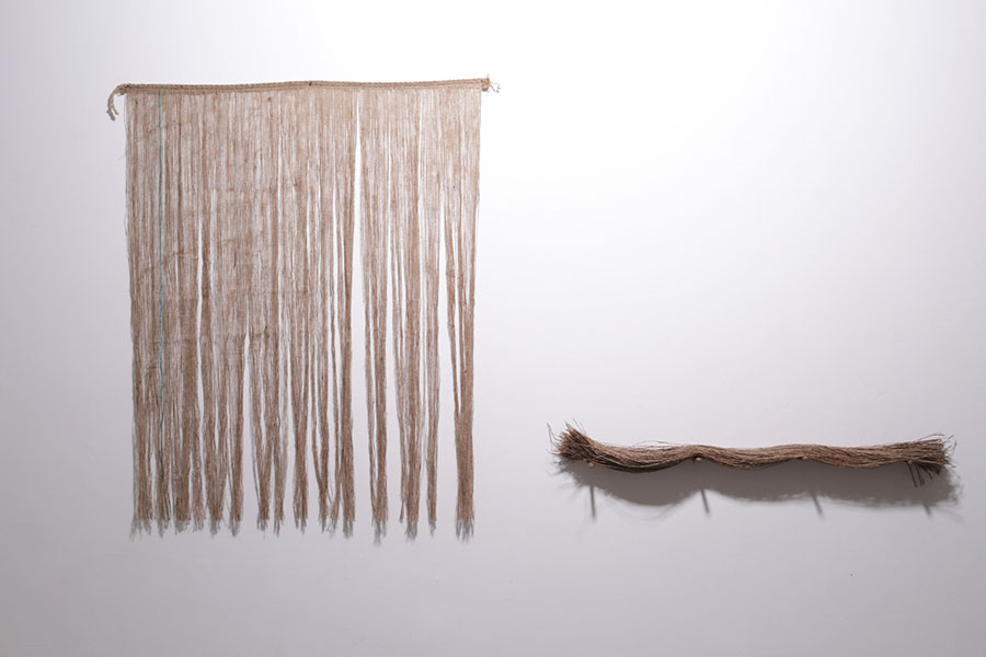 <495 horizontal lines from 421 vertical lines 

, 2016