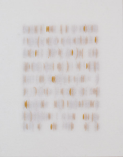 Siahi B, 2017