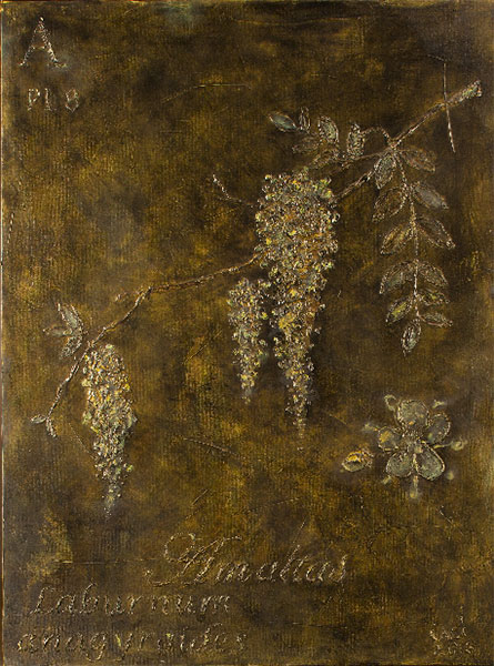 <Amaltas, 2016 - 2017 