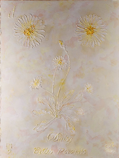 <Daisy , 2016 - 2017 