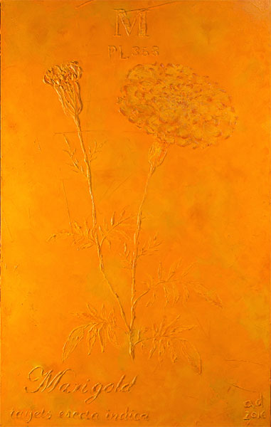 <Marigold, 2016 - 2017 