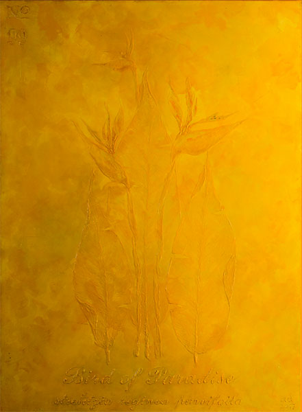 <Bird of Paradise , 2016 - 2017 