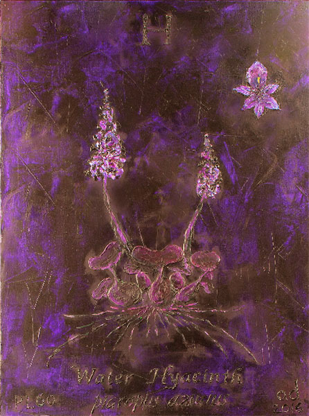 <Water Hyacinth , 2016 - 2017 