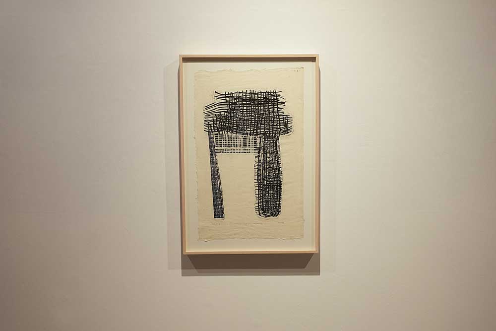 <(MC) India Gate/ Rope/ Wires/ Structure/ Entangled / Check , 2015