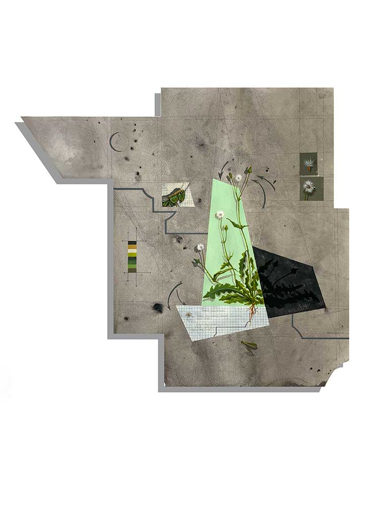 Eco Fractures 1 , 2023
