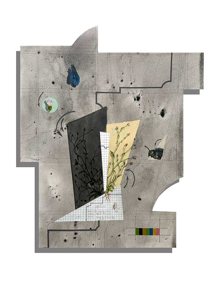 Eco fractures 3, 2023