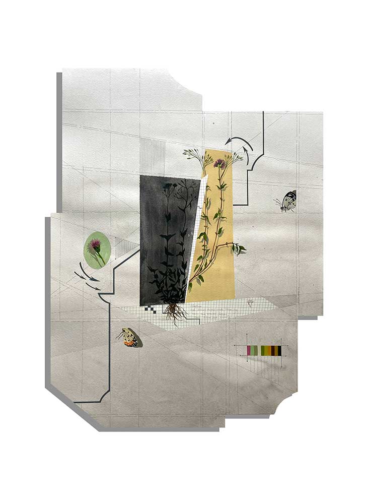 Eco fractures 6, 2023
