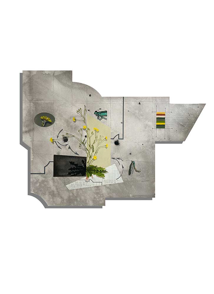 Eco Fractures 9 , 2023