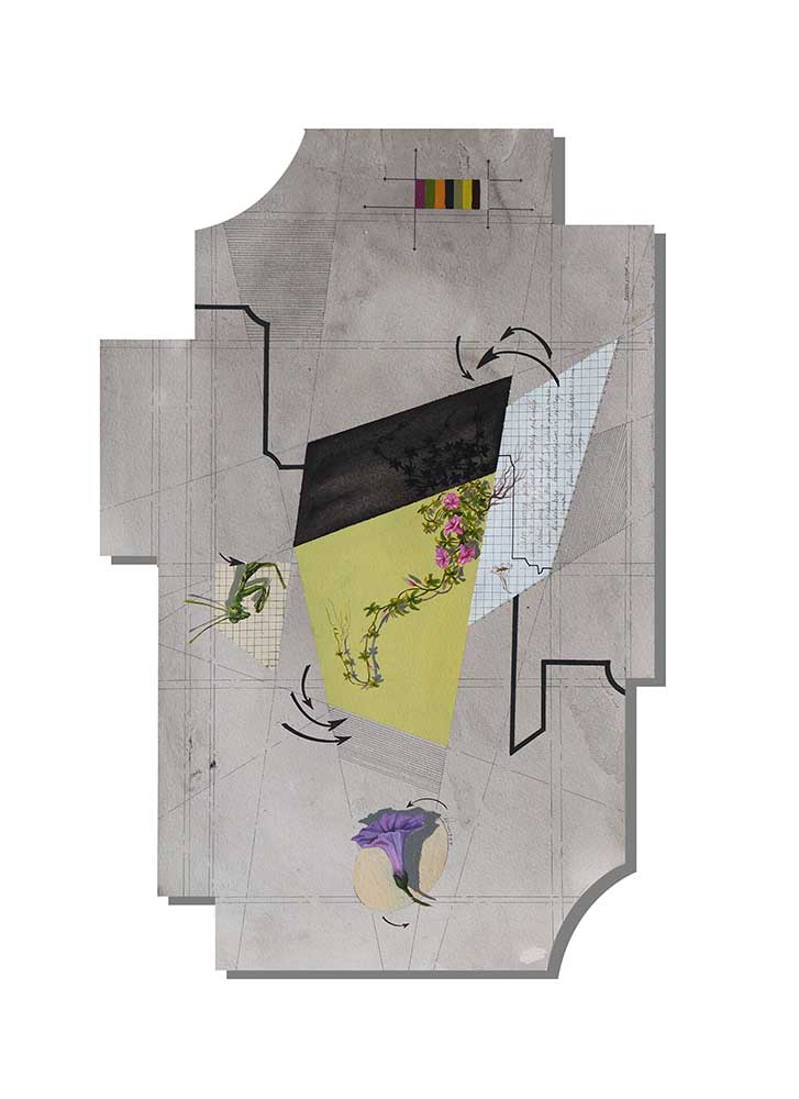 Eco fractures 10, 2023