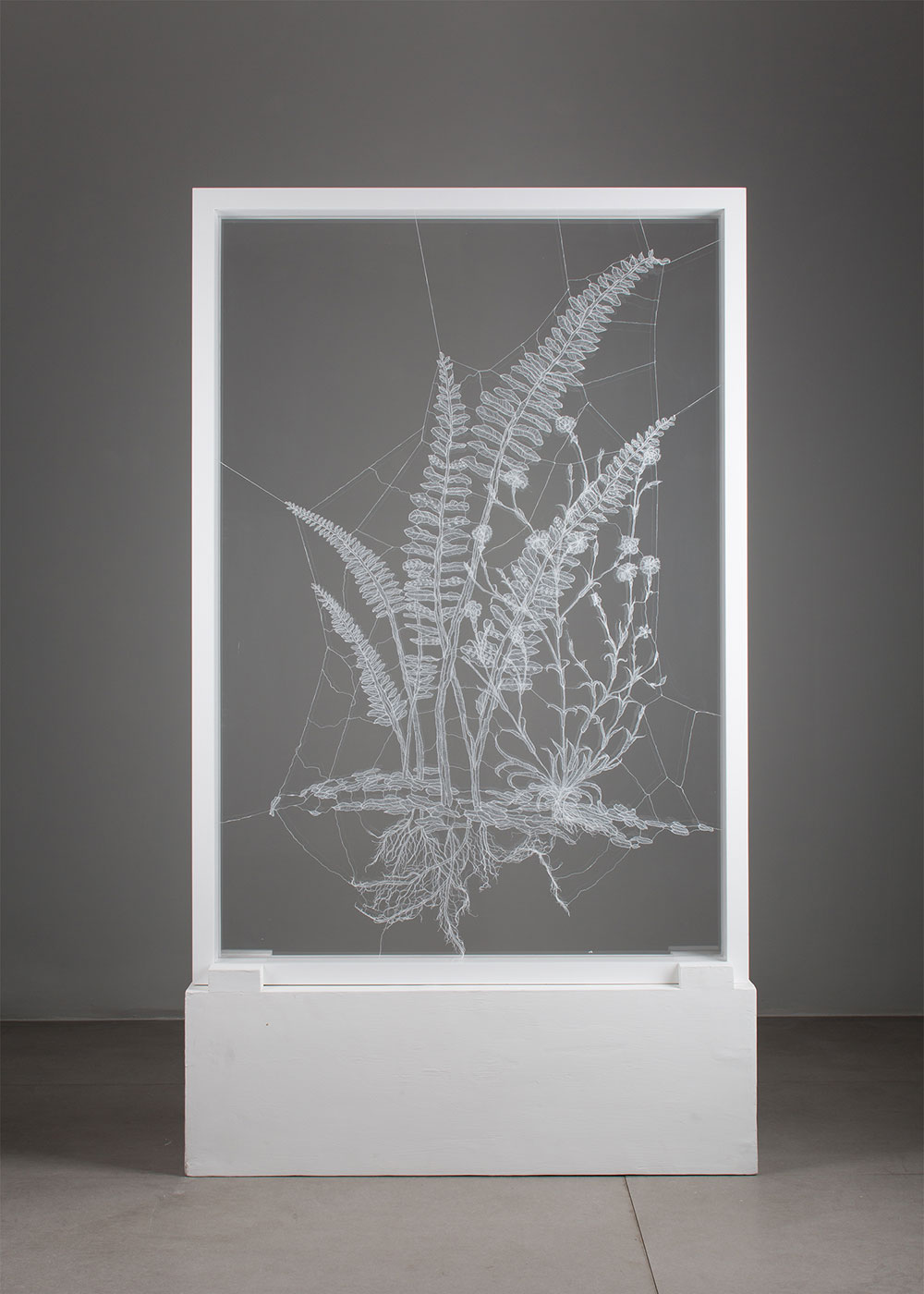 <Ferns, 2017