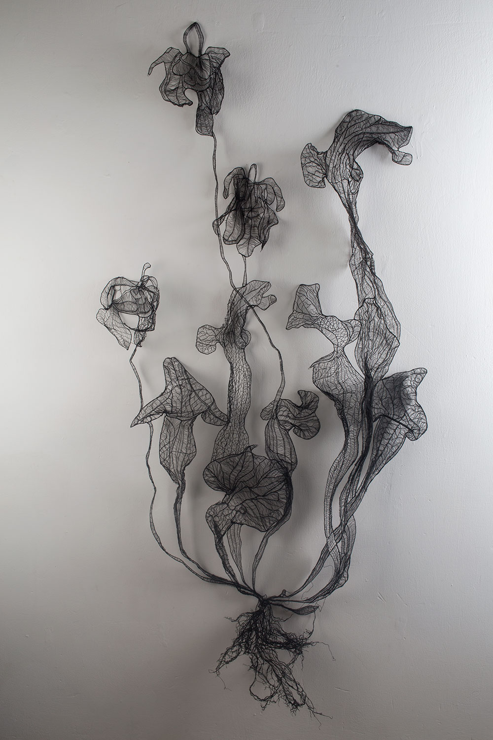 <Untitled , 2017