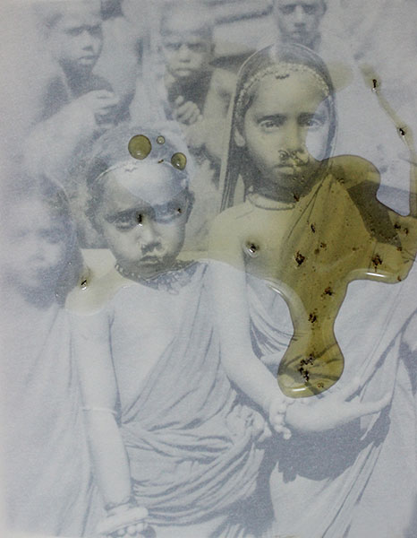 Honey Series, 2015