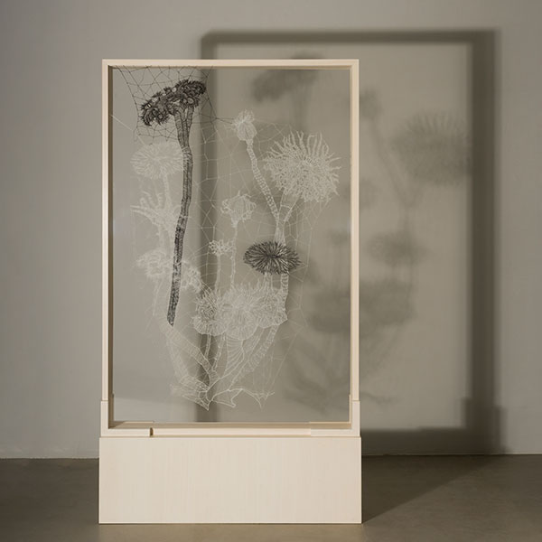 Untitled from the series 