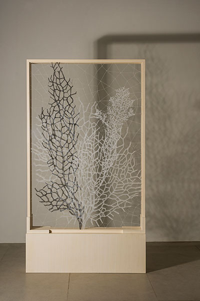 Untitled from the series 