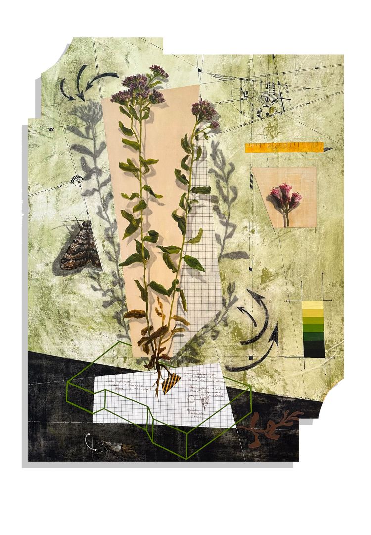 Untitled , 2023 - 24 