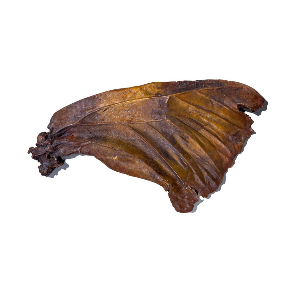 Fragile In False Glow 1 , 2025