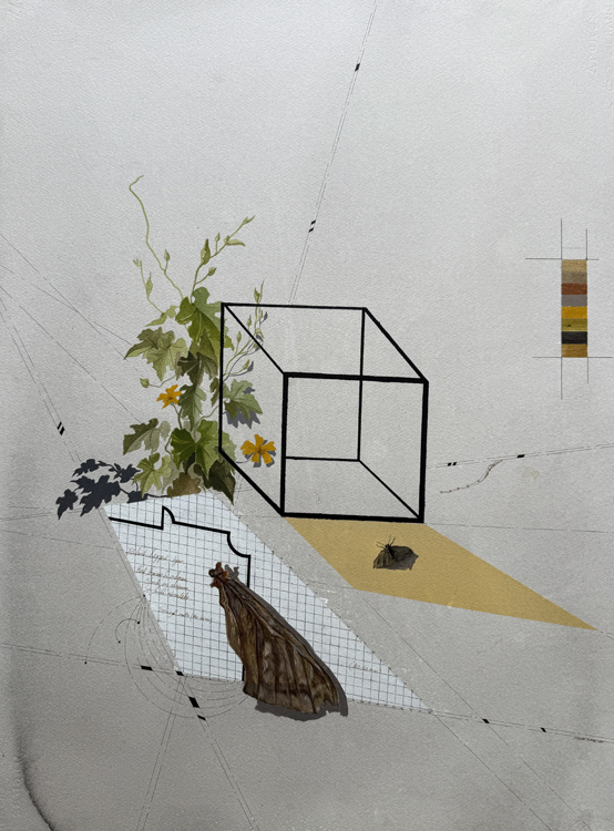 Echoes of the Moth 1, 2025