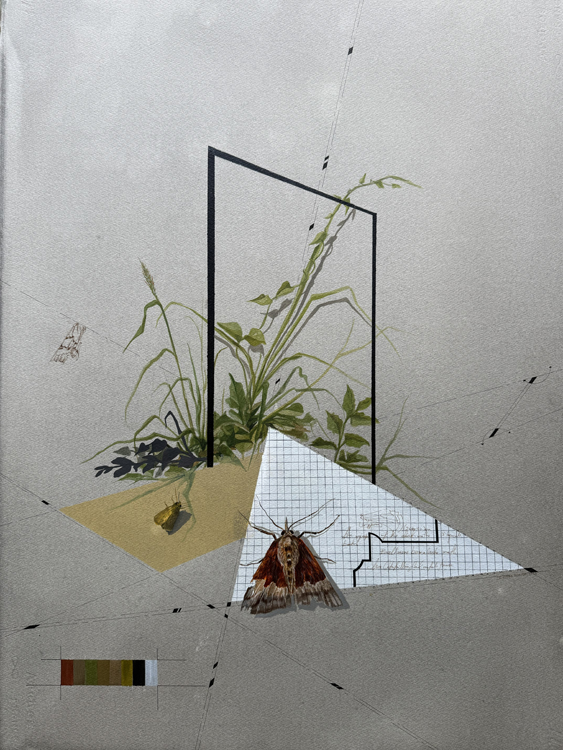 Echoes of the Moth 2, 2025