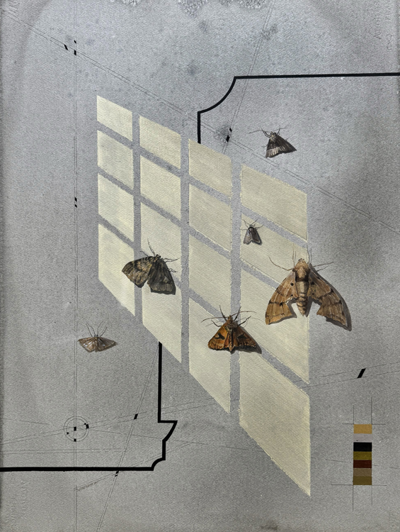 Echoes of the Moth 3, 2025