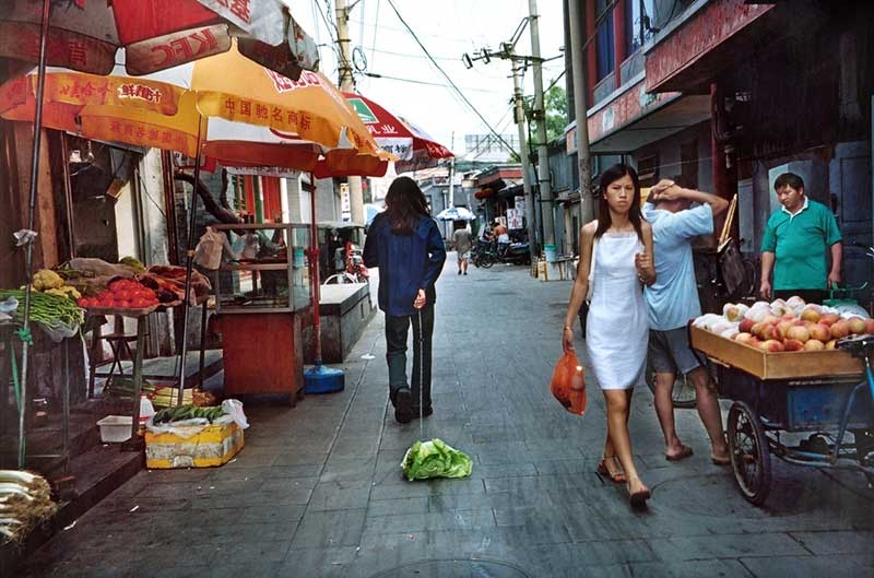 <Diary Of A Chinese Cabbage Walker, 2008
