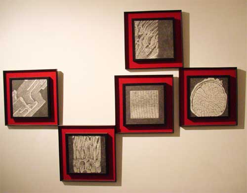 <Perspective , 2010