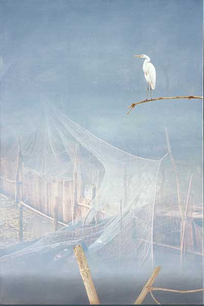 <Morning Glory or The Priest, 2011