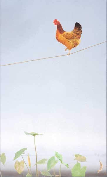 <Morning Glory or The Profane, 2011