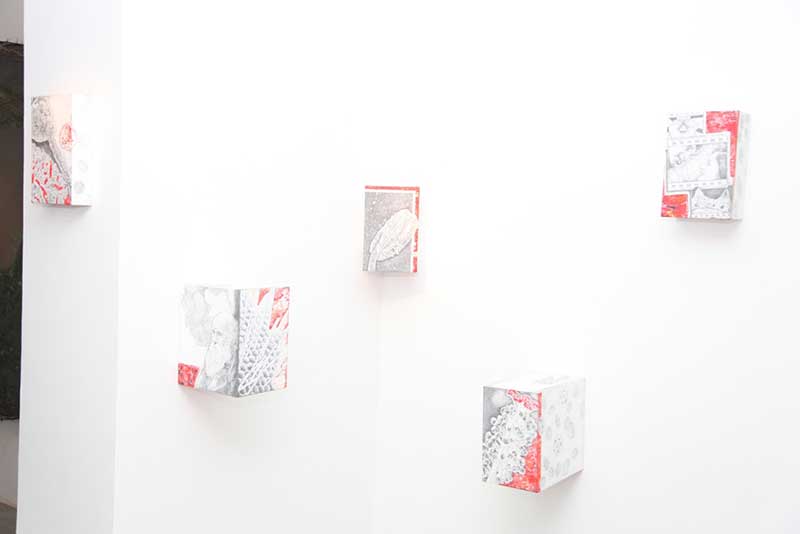 <Sex, Cinema And Pollen Grains , 2012