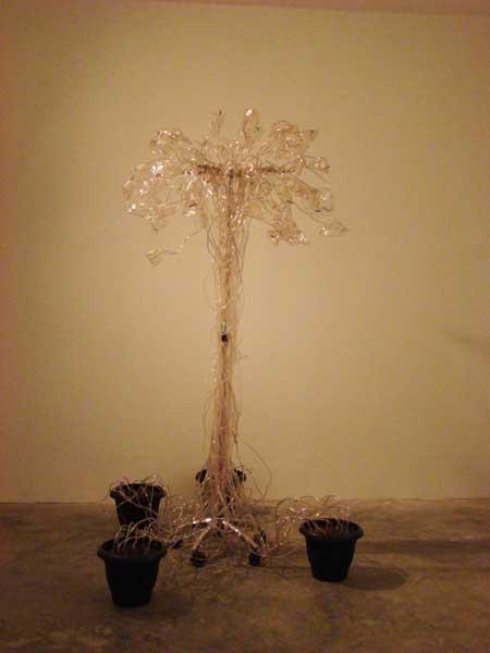 <Oxygen Tree, 2011