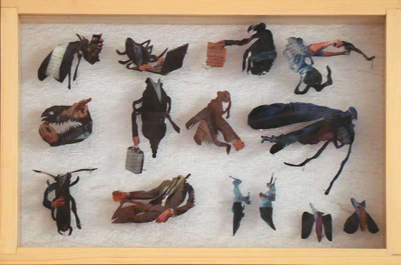 <The Anthropological boxes (Series), 2011