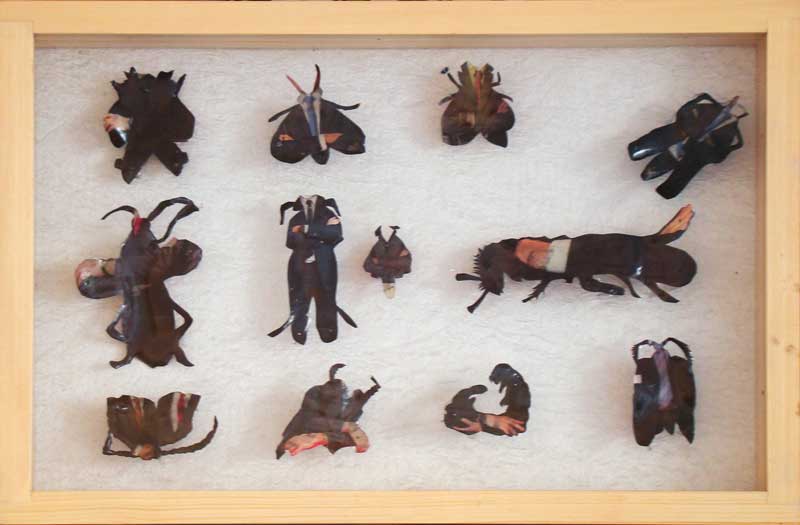 <The Anthropological boxes (Series), 2011