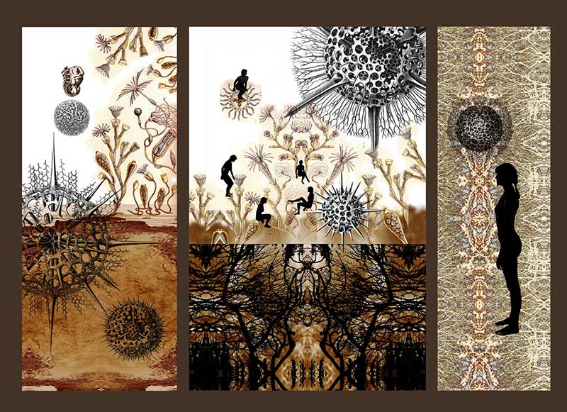 <The Core - (Bifurcation - Assimilation - Proliferation), 2012