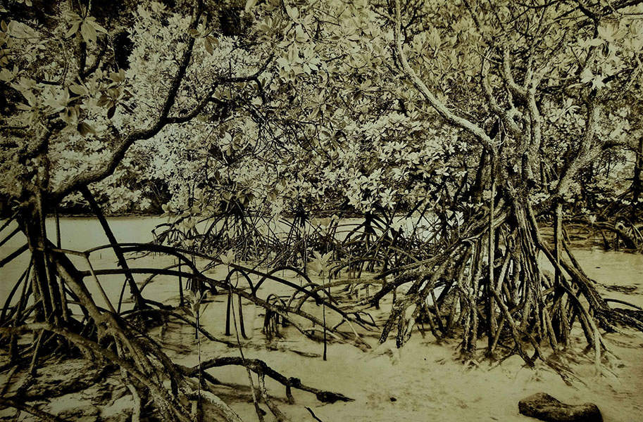 <Scapelands I, 