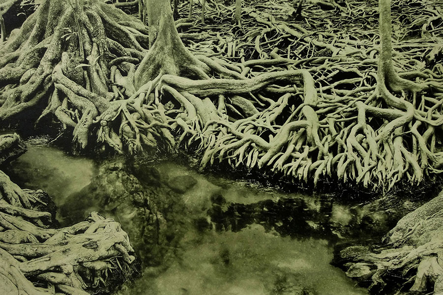 <Scapelands II, 
