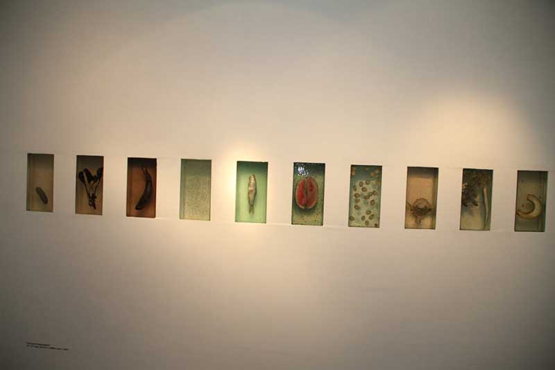 Consumed Contamination, 2012